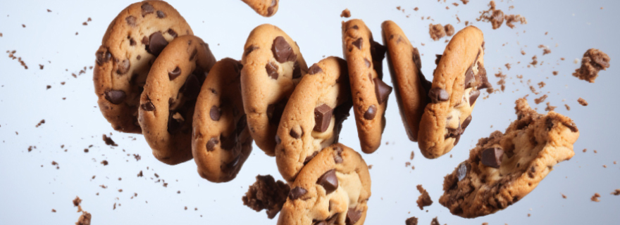 FAIRTRADE COOKIES FAIRTRADE COOKIES